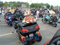 Highlight for Album: Cleveland Teddy Bear Run, 2004