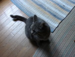 DSC00059