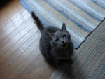 DSC00060