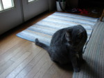DSC00061