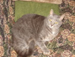 DSC00064