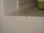 DSC00065