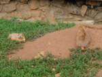 DSC00074