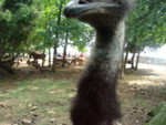 DSC00094