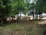 DSC00095