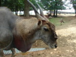 DSC00113