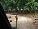 DSC00127