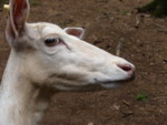 DSC00131