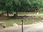 DSC00147